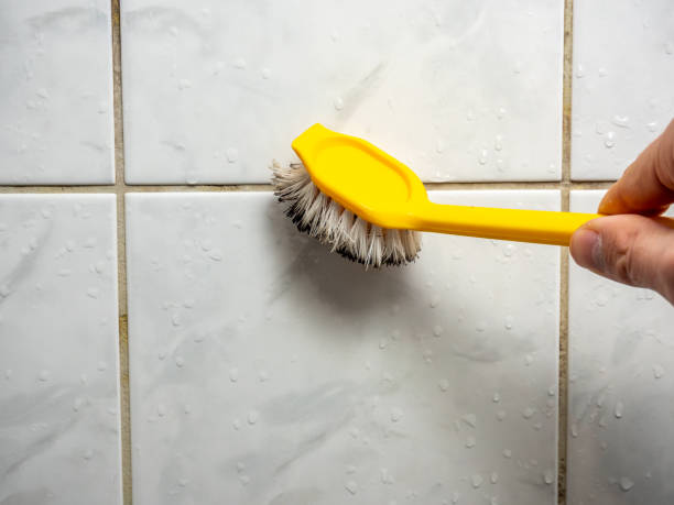 Best Office Mold Removal Services  in Tiptonville, TN