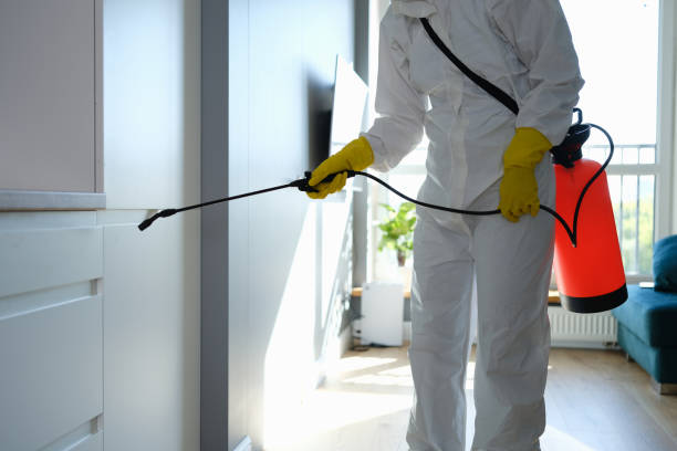 Best Office Mold Removal Services  in Tiptonville, TN